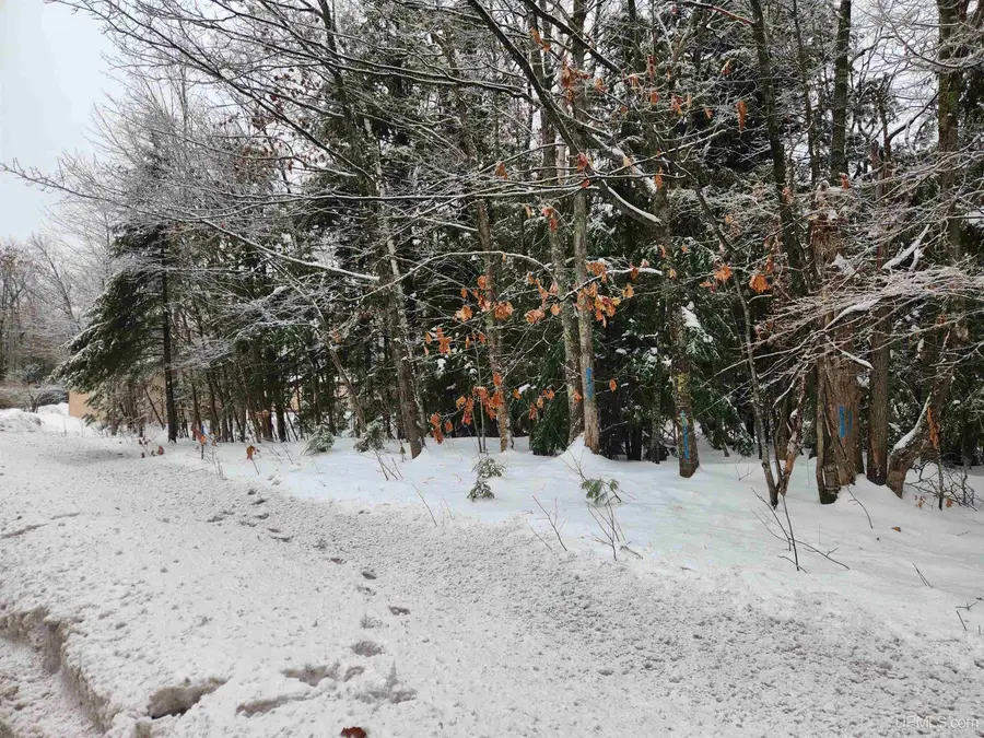 TBD-1 Green Acres, Houghton, MI 49931 - Image #3