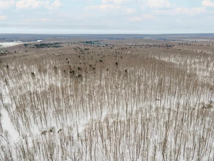 Unit 8 Elizabeth, Iron River, MI 49935 - #3