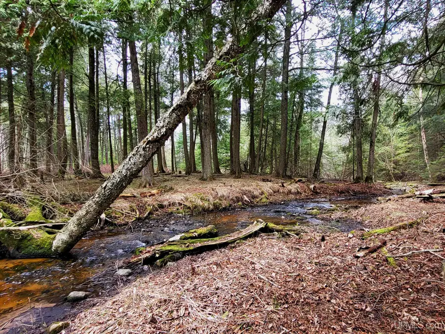 N6804 N6804, Stephenson, MI 49887 - Image #3