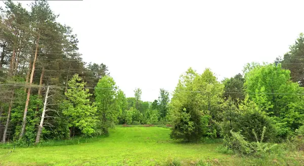 7181 W Mount Morris, Flushing, MI 48433