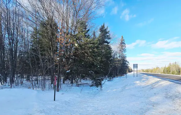 10098 Us 41, Skandia, MI 49885