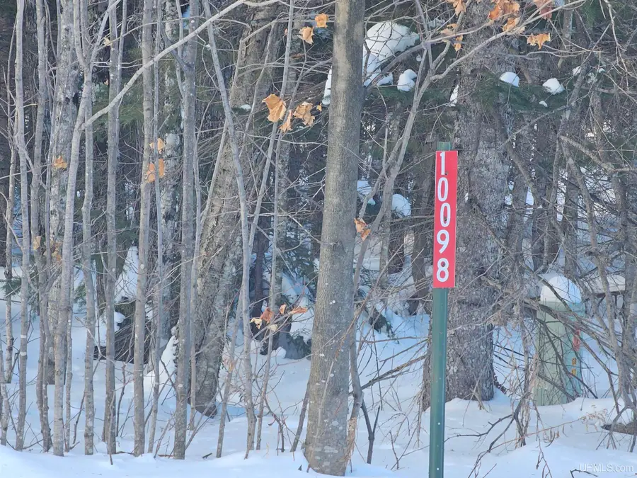 10098 Us 41, Skandia, MI 49885 - Image #3