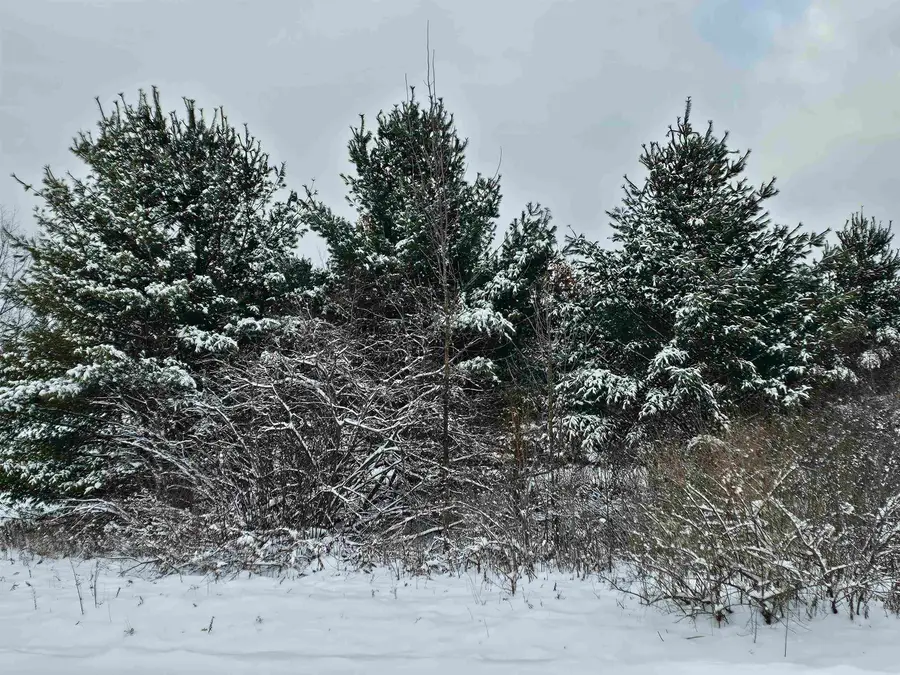 Lot 4 Hampton, Gladwin, MI 48624 - Image #2