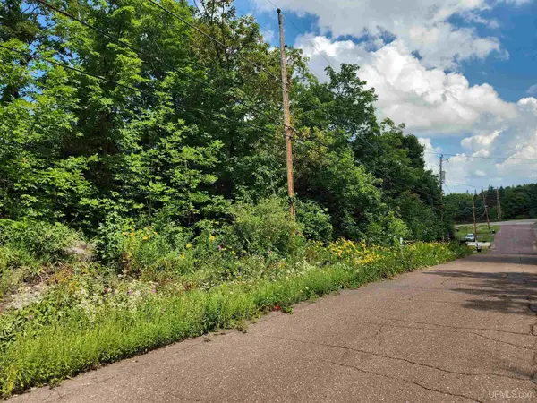 TBD 17 Calverley, Houghton, MI 49931