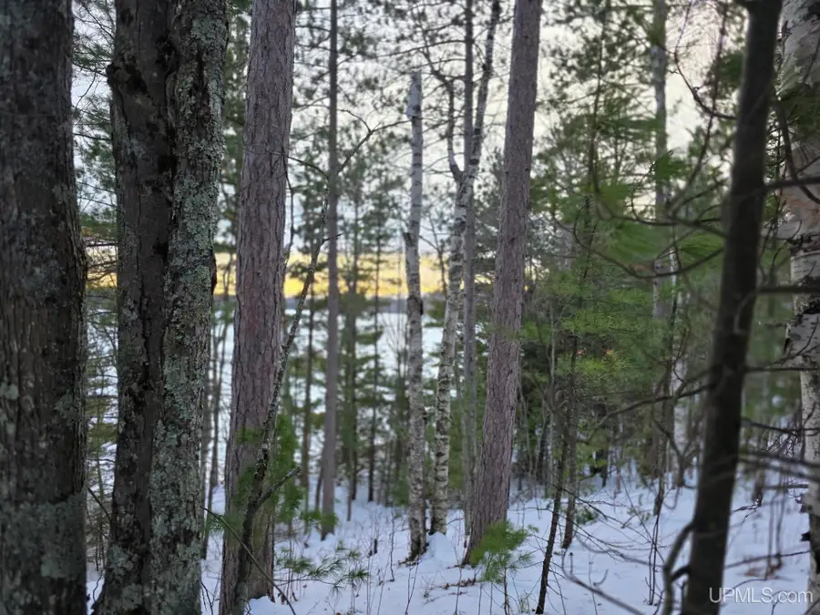 TBD Sand Lake, Deerton, MI 49822 - Image #2