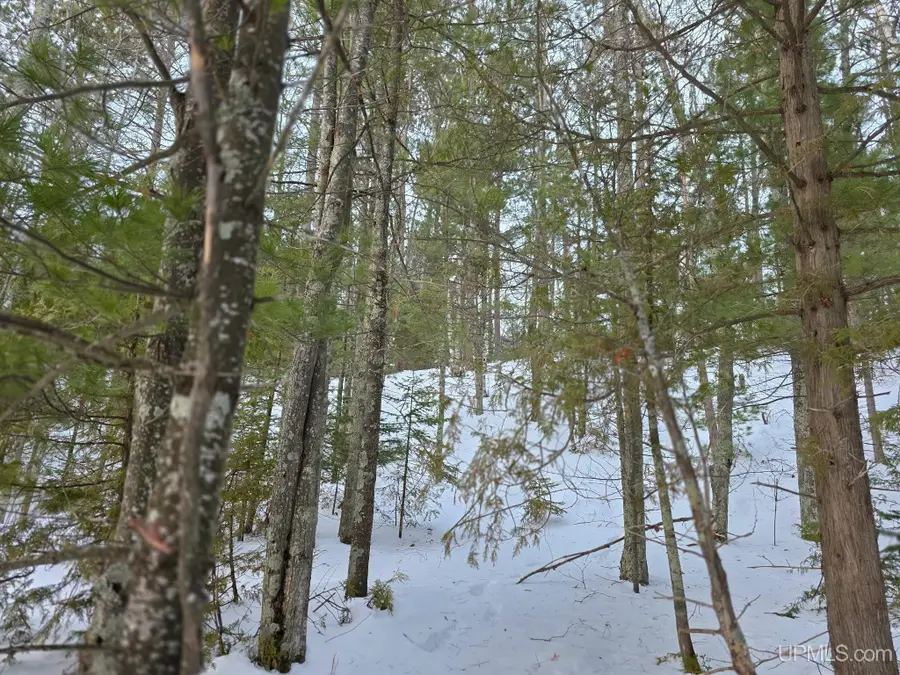 TBD Sand Lake, Deerton, MI 49822 - Image #3