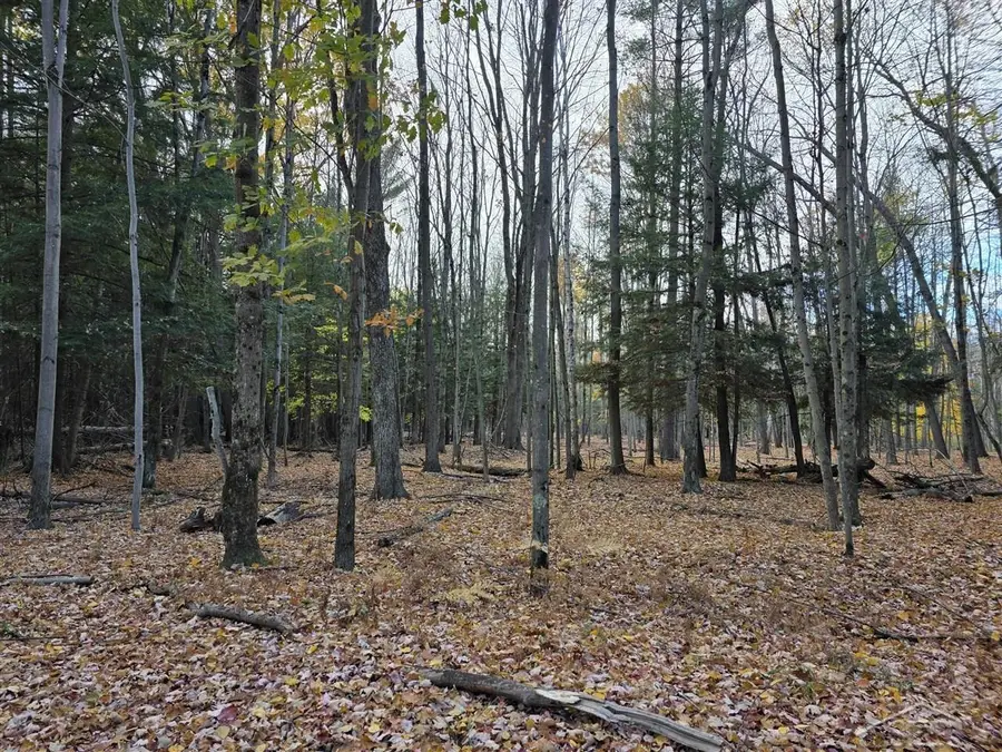 9191 Deerfield, Stanwood, MI 49346 - Image #2