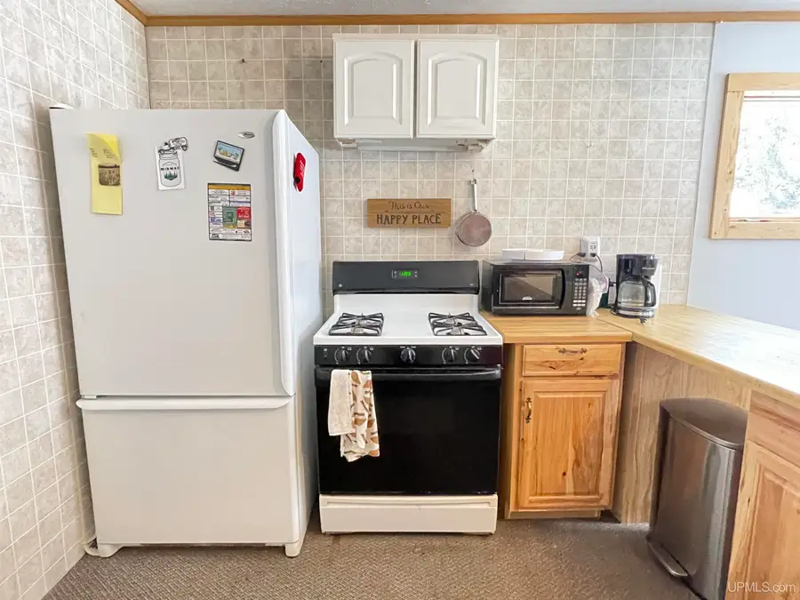 14295 Gooseneck Lake, Rapid River, MI 49878 - Image #3