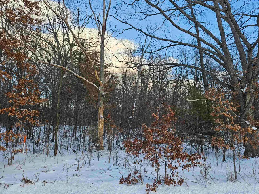 100-23 N Clare Ave, Harrison, MI 48625 - Image #2