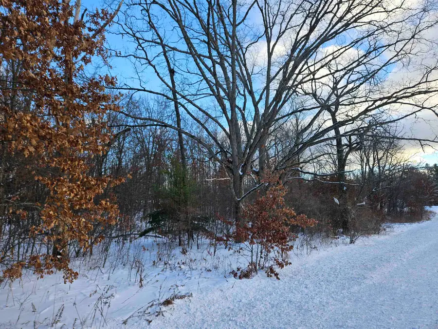 100-23 N Clare Ave, Harrison, MI 48625 - Image #3