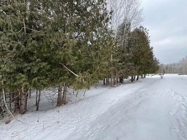 Lot 230 Kings, Gladwin, MI 48624