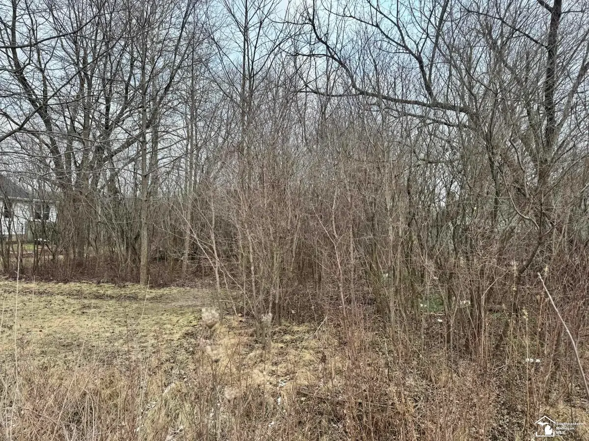 000 W Jefferson, Brownstown Township, MI 48173 - Image #1