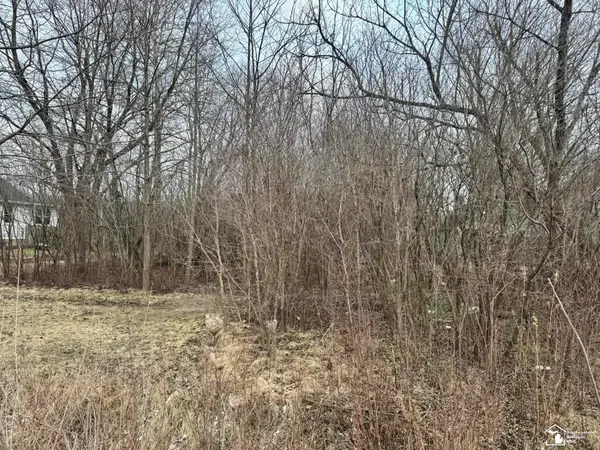 000 W Jefferson, Brownstown Twp, MI 48173