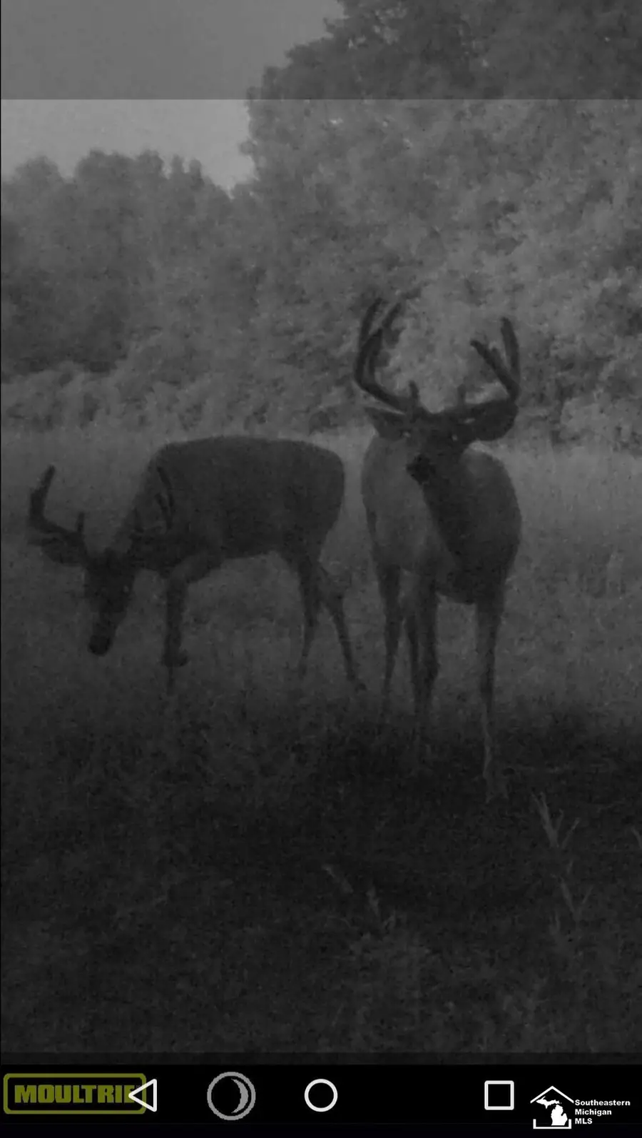 Stewart Road, Monroe, MI 48162 - #3