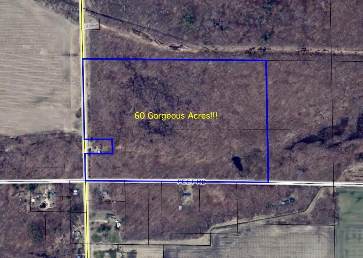 V/L Chapin, Elsie, MI 48831 - #1