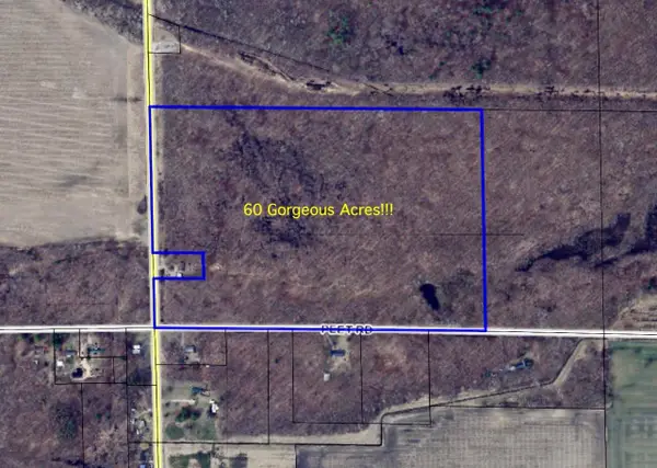 V/L Chapin, Elsie, MI 48831