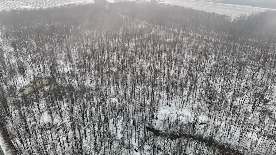 V/L Chapin, Elsie, MI 48831 - #2