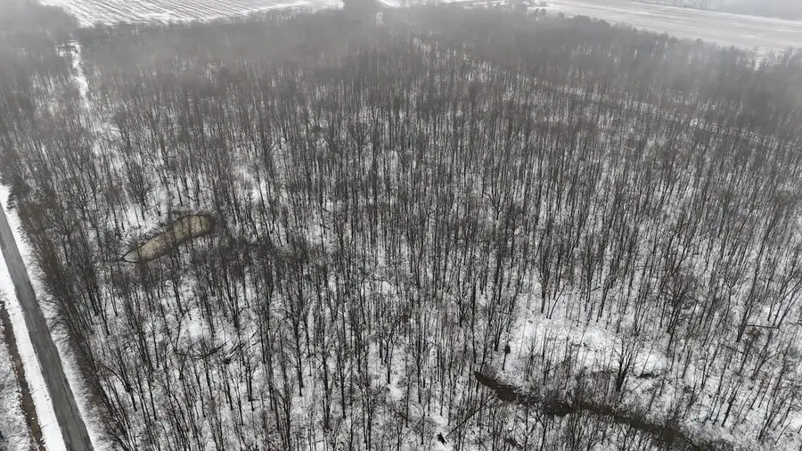 V/L Chapin, Elsie, MI 48831 - #3