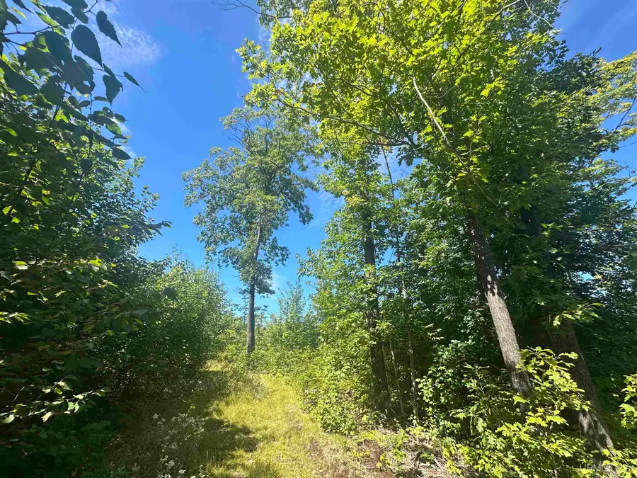 TBD Co Rd Cn, Ishpeming, MI 49849 - Image #2