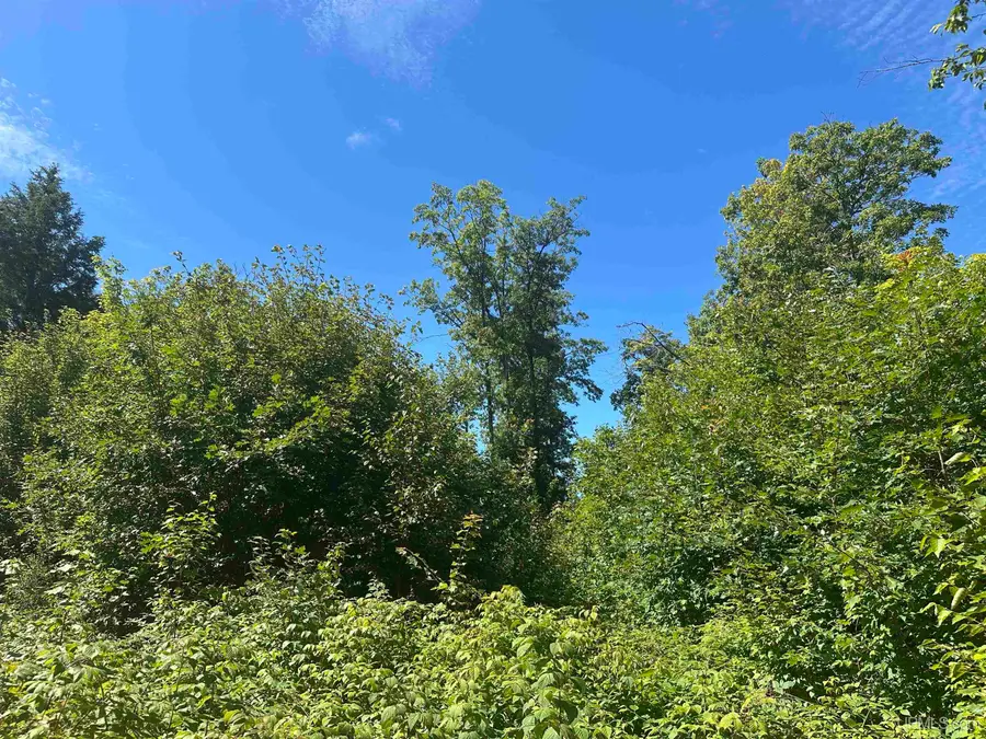 TBD Co Rd Cn, Ishpeming, MI 49849 - Image #3