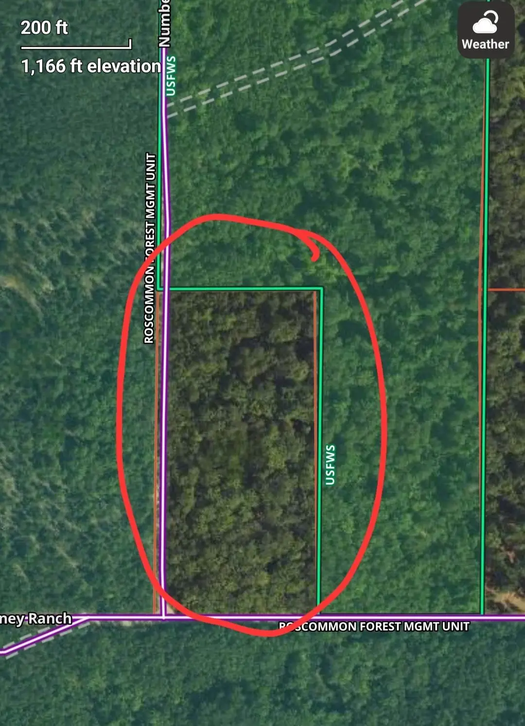 Turney Ranch, West Branch, MI 48661 - Image #1