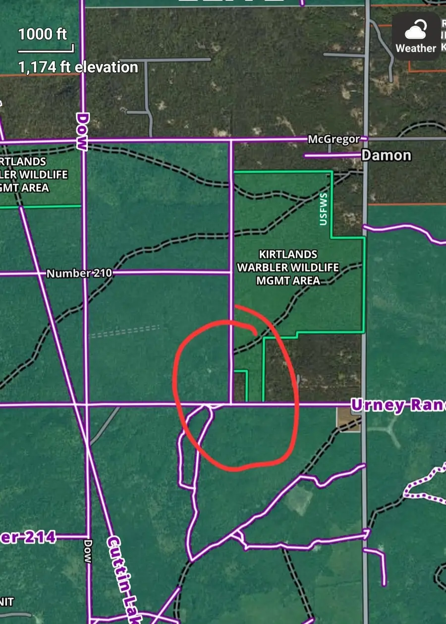 Turney Ranch, West Branch, MI 48661 - Image #2