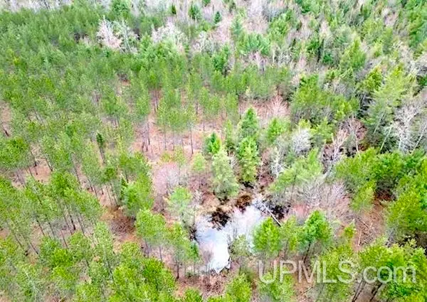 TBD Co Rd 440, Rapid River, MI 49878