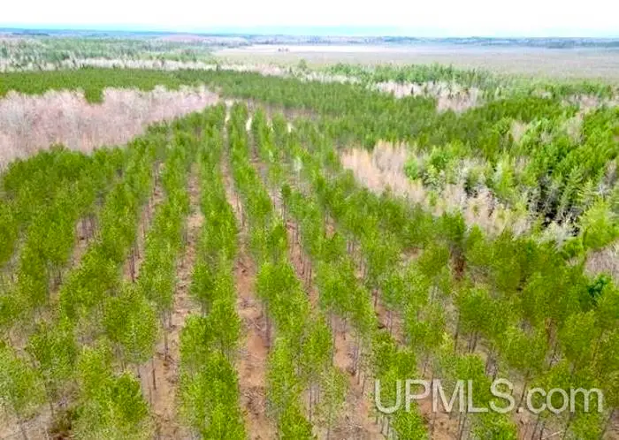 TBD Co Rd 440, Rapid River, MI 49878 - Image #3