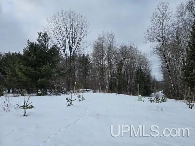 TBD Fumee Lake, Iron Mountain, MI 49801 - Image #3