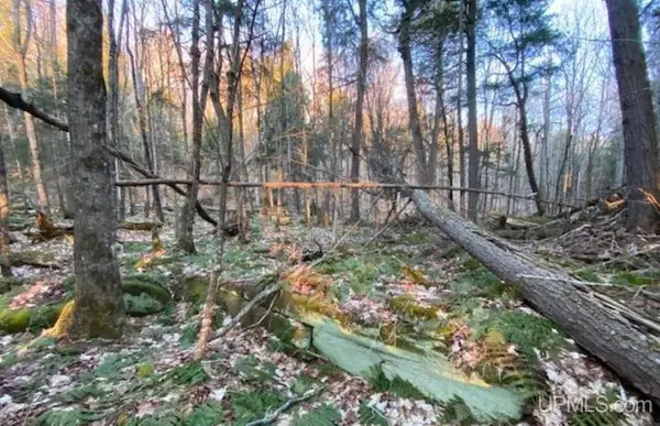 TBD Shore, Au Train, MI 49862