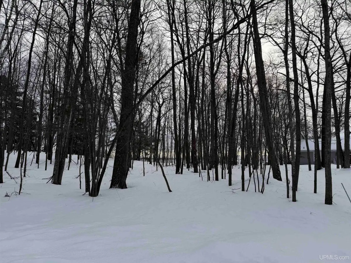 TBD Lot 6 Caron 0.4 Dr, Gladstone, MI 49837 - Image #1