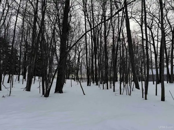 TBD Lot 6 Caron 0.4 Dr, Gladstone, MI 49837