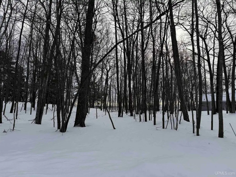 TBD Lot 6 Caron 0.4 Dr, Gladstone, MI 49837 - Image #2