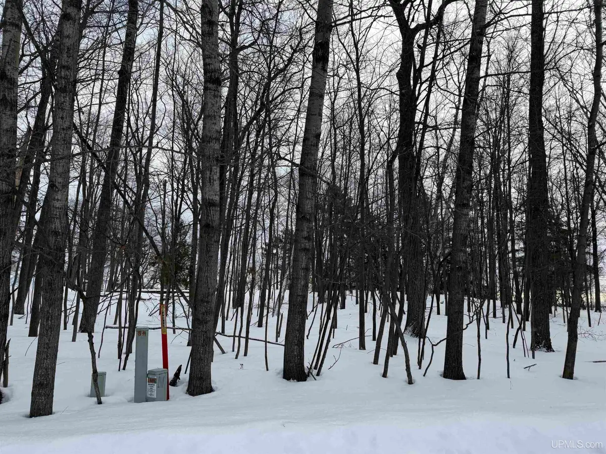 TBD Lot 7 Caron 0.4 Dr, Gladstone, MI 49837 - Image #1