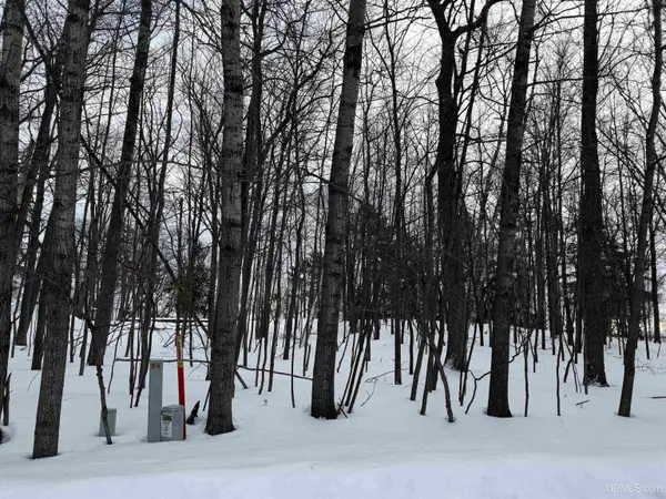 TBD Lot 7 Caron 0.4 Dr, Gladstone, MI 49837