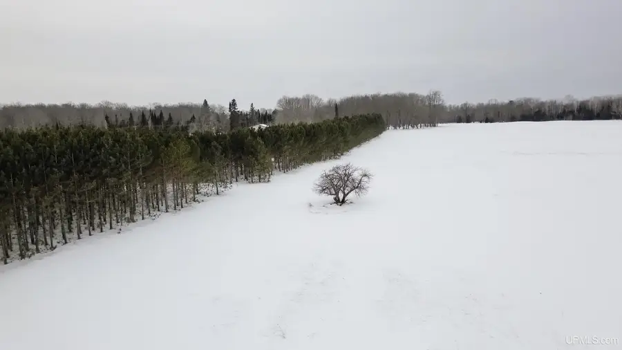 TBD E Osier 40th, Rapid River, MI 49878 - Image #2