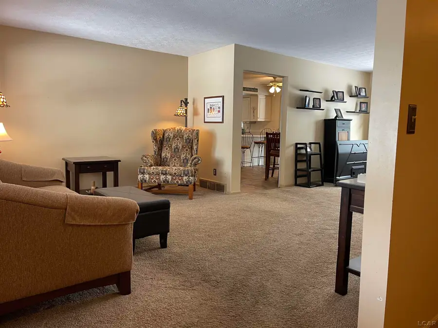 404 Mills, Saline, MI 48176 - #3