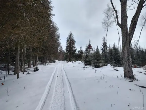 120 Acres E Stonington Aa.5, Rapid River, MI 49878