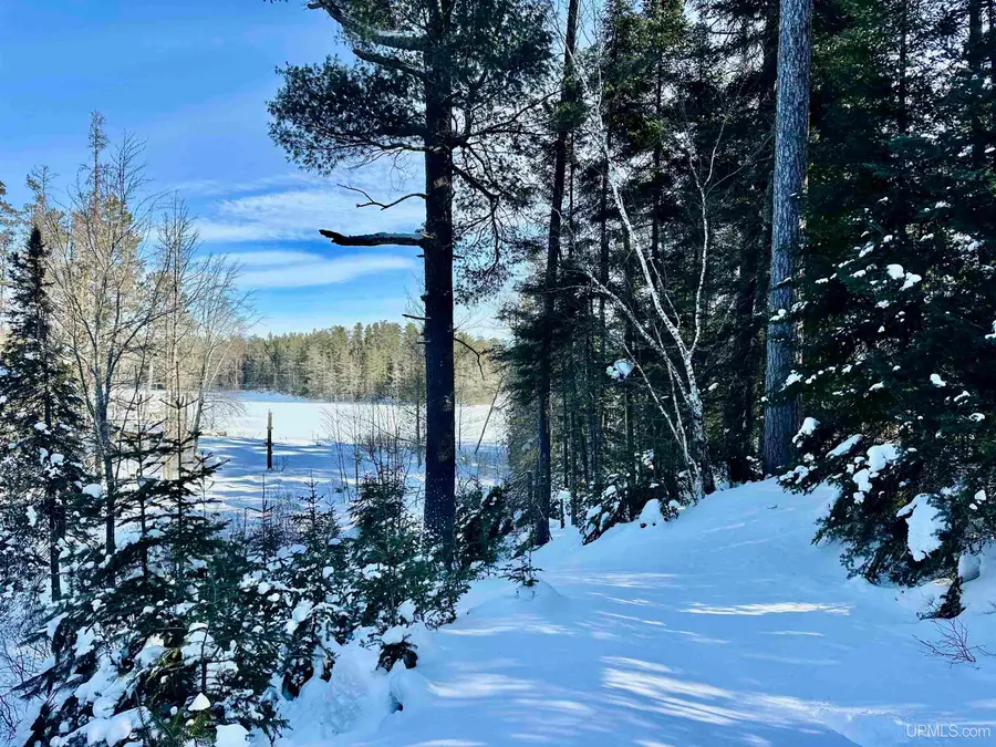 16350 County Road Cf, Ely, MI 49879 - Image #2