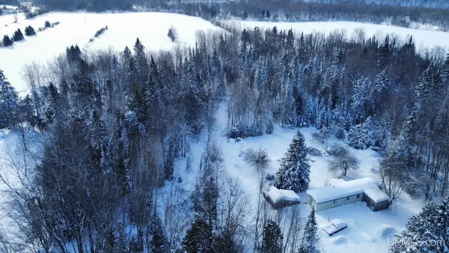 TBD Niemi Road, Baraga, MI 49908 - Image #3