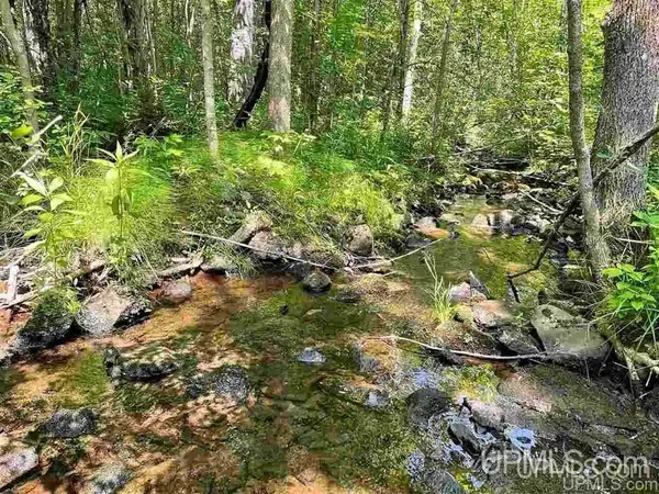 14455 N State Line, Hurley C-WI, WI 54534