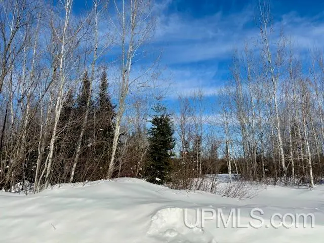 5586 N Shore Helen Lake, Ishpeming, MI 49849 - #1