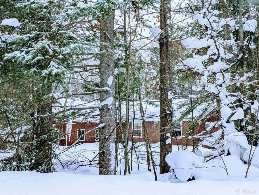 22 Carrie, Negaunee, MI 49866 - #3