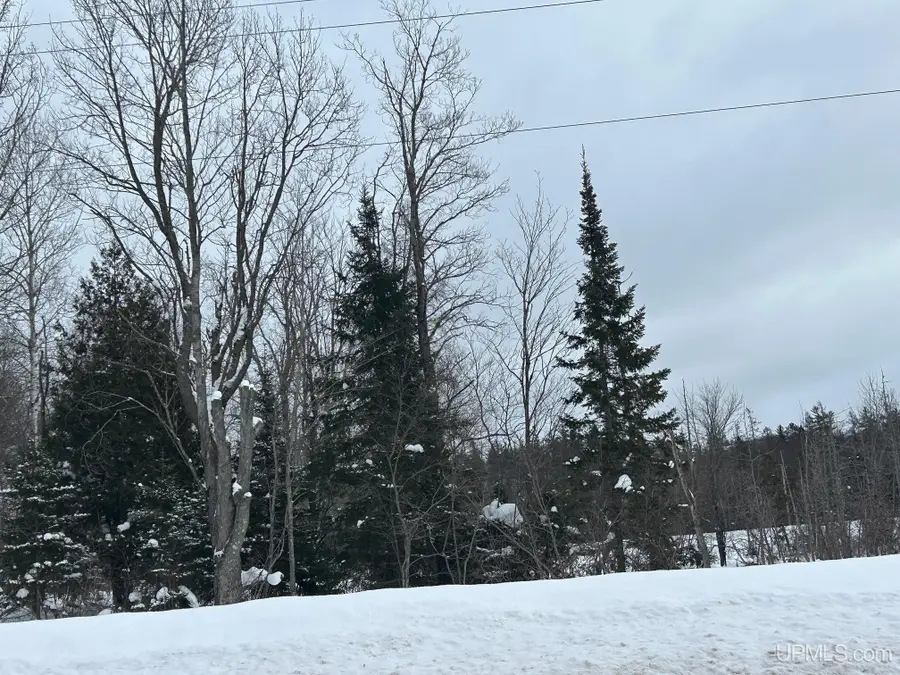TBD Heritage, Negaunee, MI 49866 - #2