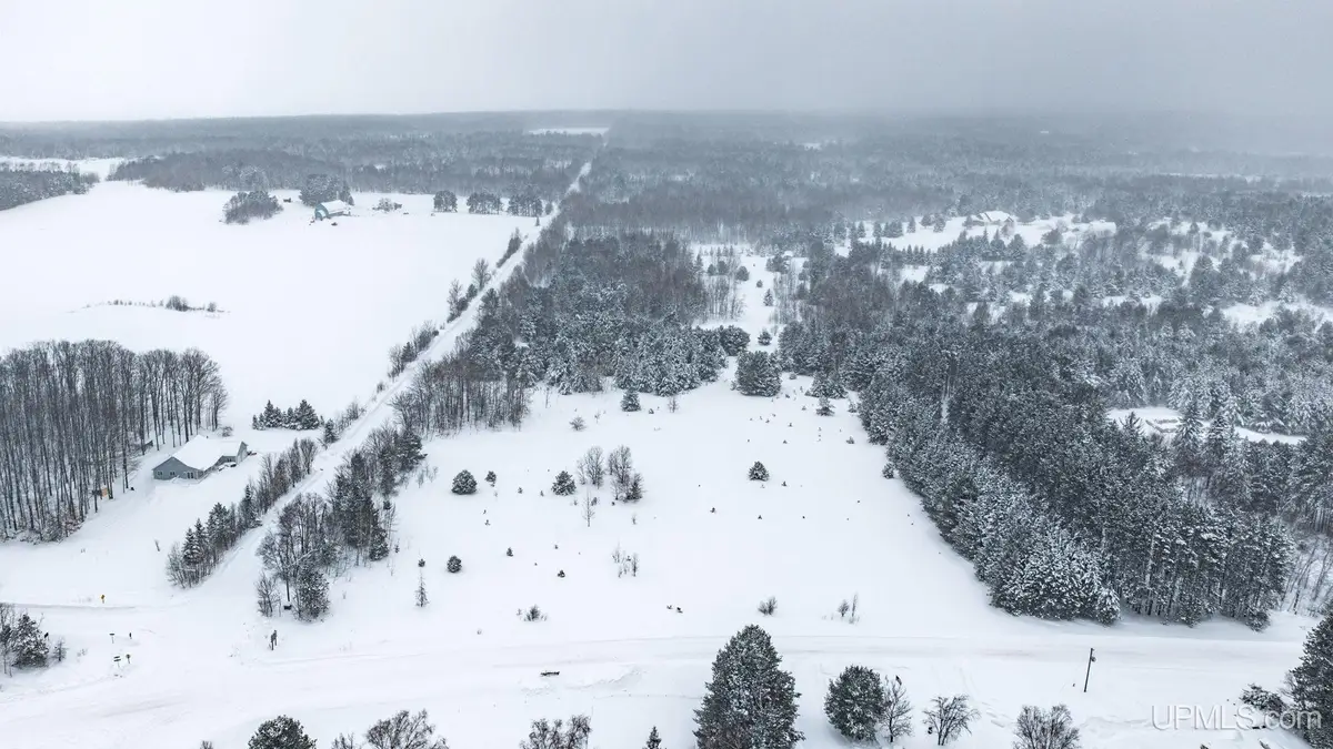 Parcel D Puuri, Atlantic Mine, MI 49905 - Image #1