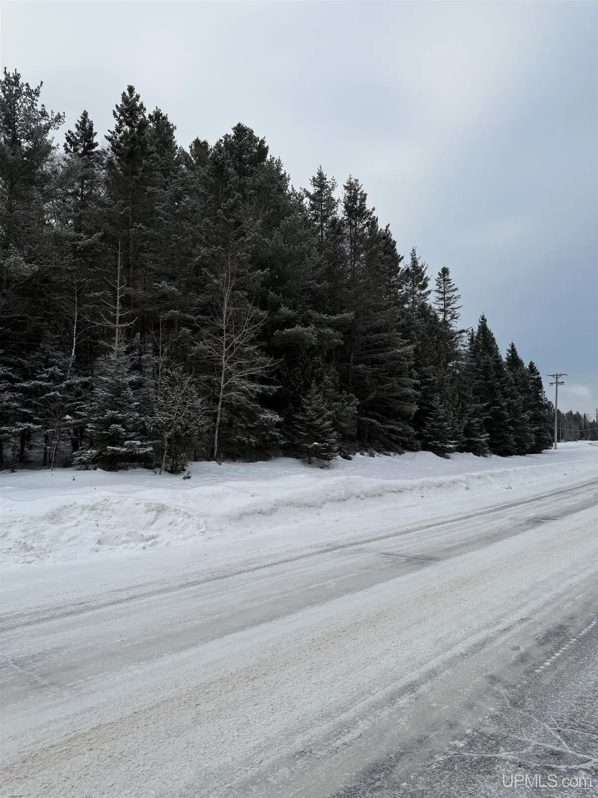 TBD Tannery, Manistique, MI 49854 - #1