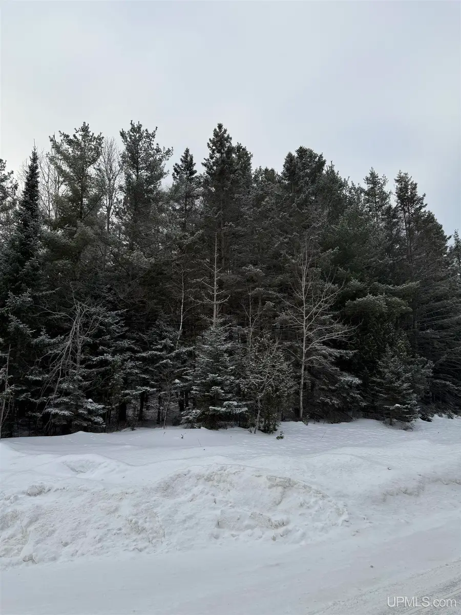 TBD Tannery, Manistique, MI 49854 - #2