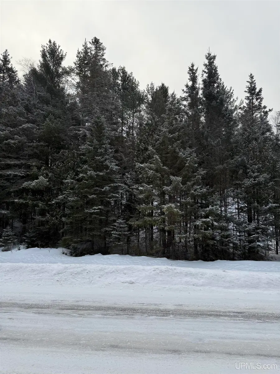 TBD Tannery, Manistique, MI 49854 - #3