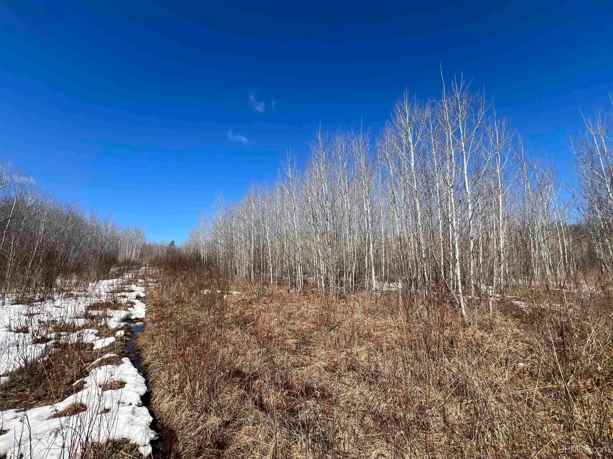 TBD Nordstrom, Iron River, MI 49935 - #1