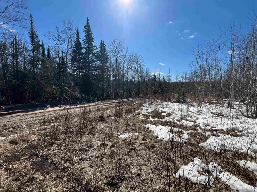 TBD Nordstrom, Iron River, MI 49935 - #2